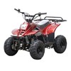 TAO TAO 110cc ATV Fully Automatic Four Wheelers
