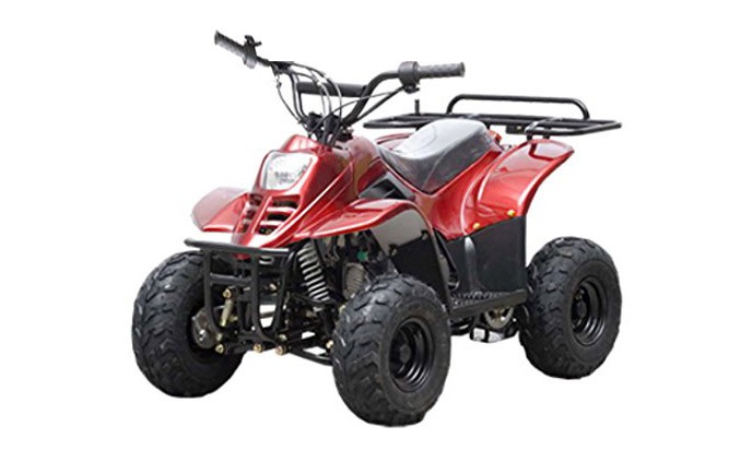 TAO TAO 110cc ATV Fully Automatic Four Wheelers