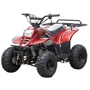 TAO-TAO-110cc-ATV-Fully-Automatic-Four-Wheelers