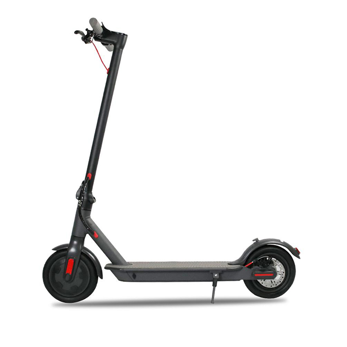 Zeebull Electric Scooter for Adults
